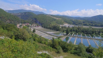 Păstrăvul în Adler (Sochi)