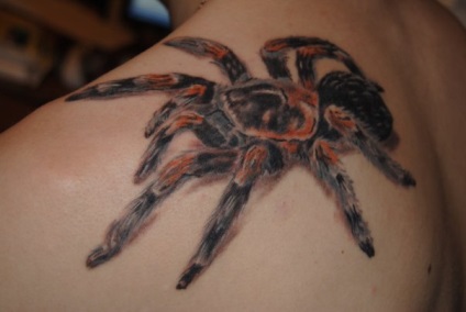 Fotografie și semnificația tattoo tarantula