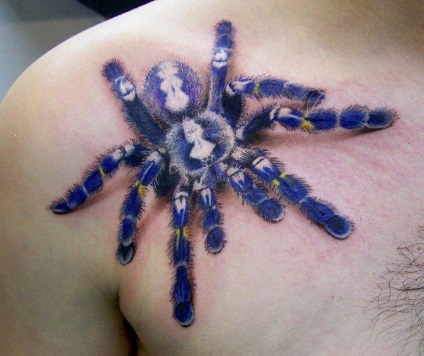 Fotografie și semnificația tattoo tarantula