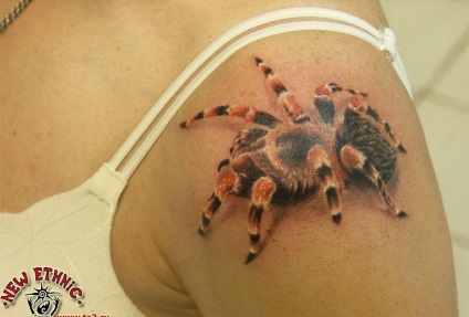 Fotografie și semnificația tattoo tarantula