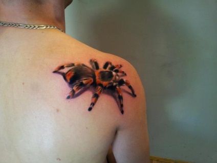 Fotografie și semnificația tattoo tarantula