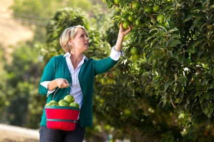 Grădinile de fructe în loc de grădinile de legume