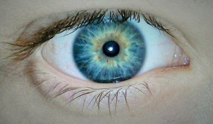 Heterochromia ochilor la om, prointerest