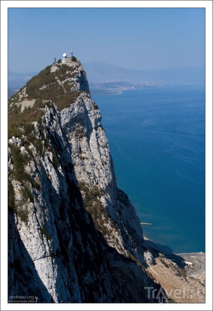 Maimuțe rock din Gibraltar