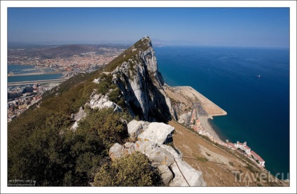 Maimuțe rock din Gibraltar