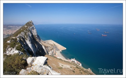 Maimuțe rock din Gibraltar