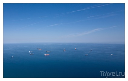 Maimuțe rock din Gibraltar