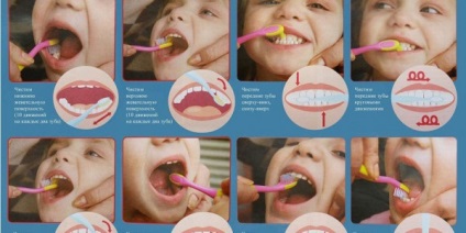 A fogak és a szájüreg higiéniája