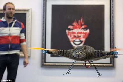 Artistul olandez a făcut un elicopter din pisica sa moartă și a explodat pe internet