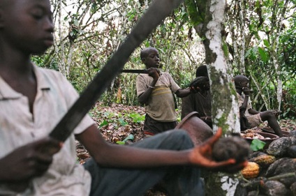 Amărăciunea ciocolatei africane - știri în fotografii