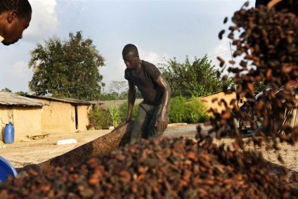 Amărăciunea ciocolatei africane - știri în fotografii