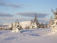 Statiuni de schi din Norvegia Lillehammer (holo, kvitfiel, hafjel, shaykampen, shusheen)