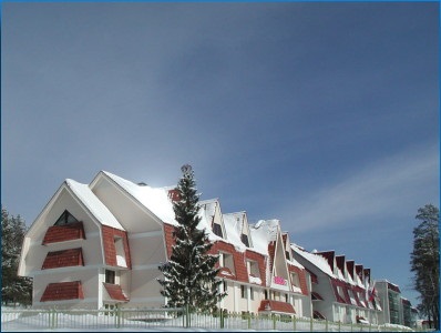 Ski Resort Stone Flower fotografie, preturi, caracteristici