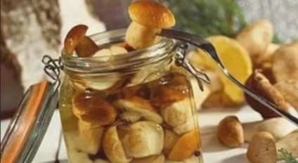 Ciuperci cu gastrită, pericol de utilizare și posibile consecințe