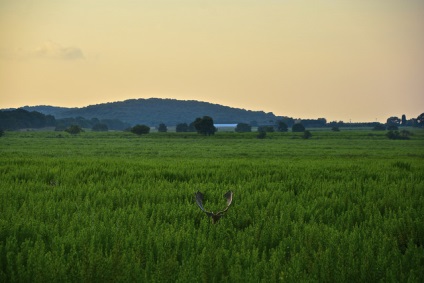 Grosseto - italiană în rusă