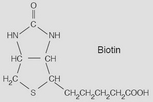 H (biotină, b7) proprietăți, caracteristici și efecte asupra organismului