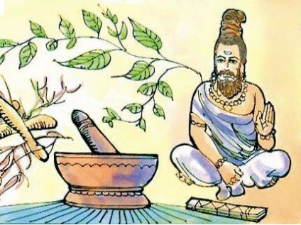 Utilizarea de ceapă indiană în medicina populară