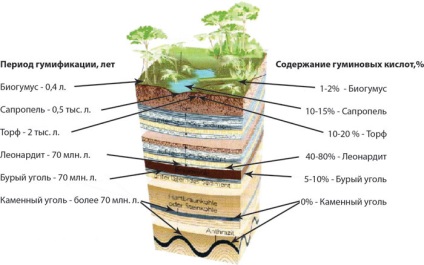 Instrucțiuni pentru aplicarea îngrășămintelor chimic turba lichid de potasiu