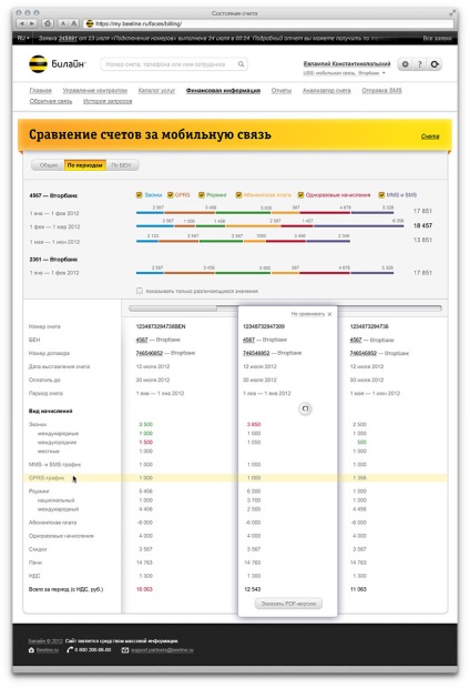 Interfata de administrare a serviciilor de comunicatii pentru clientii corporate - biline