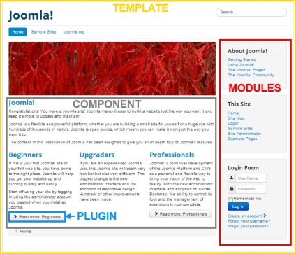 Plugin-urile Joomla - ce este și de ce sunt necesare