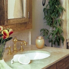 Ce plante de apartament sunt ideale pentru o baie