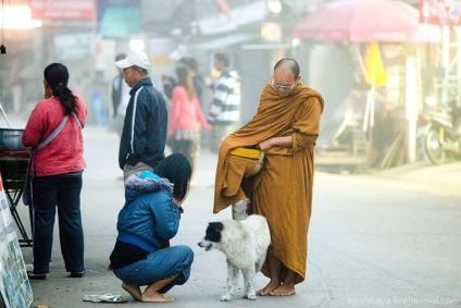 Cum călugării thailandezi colectează donații