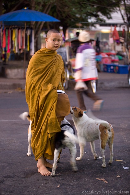 Cum călugării thailandezi colectează donații