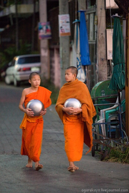Cum călugării thailandezi colectează donații