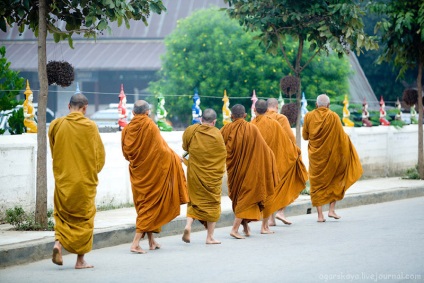 Cum călugării thailandezi colectează donații