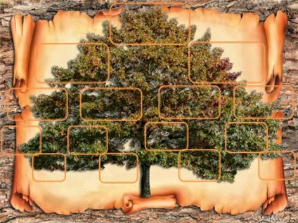 Cum de a desena modele de arbore genealogic