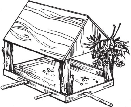 Cum de a desena un alimentator de pasari in etape