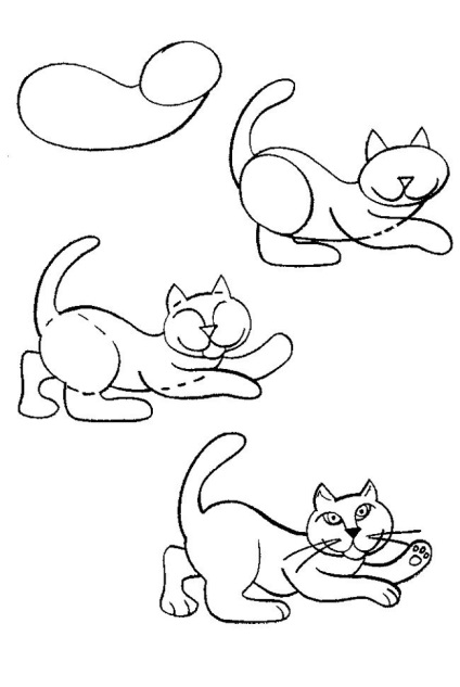 Hogyan kell felhívni a cica macska és a macska