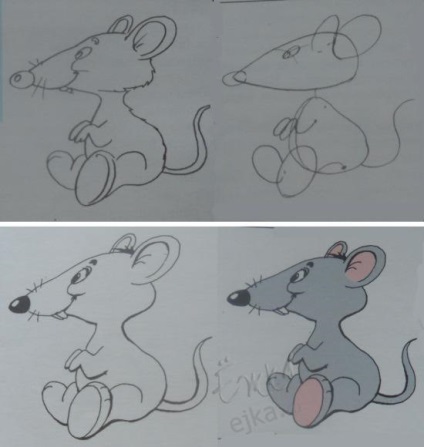 Cum de a desena un mouse, șobolan, mouse-ul, mouse-ul folosind o schemă foto