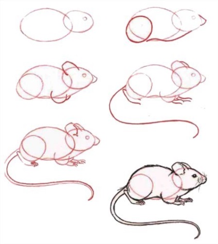 Cum de a desena un mouse, șobolan, mouse-ul, mouse-ul folosind o schemă foto