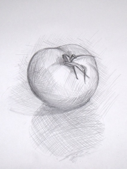 Cum de a desena o tomată în acuarelă