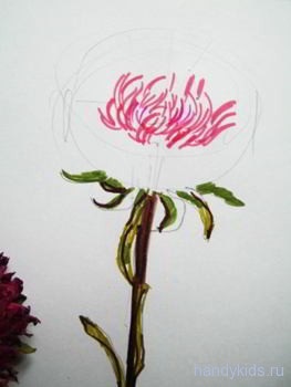 Cum de a desena o floare astru cu un creion pas cu pas