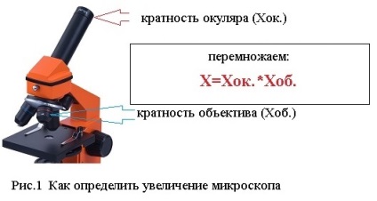 Cum se determină mărirea unui microscop Răspunsul detaliat este dat de profesioniști