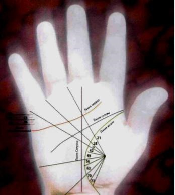 Cum de a determina datele în palma mâinii tale, palmistry