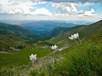 Cum să vă organizați vacanța în Carpați fără a cheltui o mulțime de bani