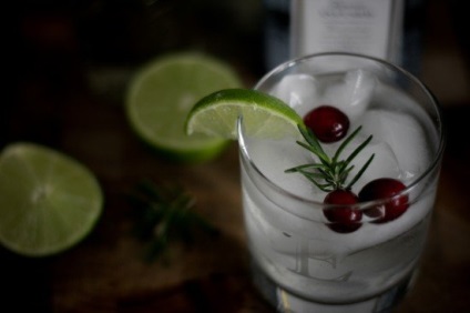 Cum să bei gin, cu ce să bei gin, modalități de a mânca gin