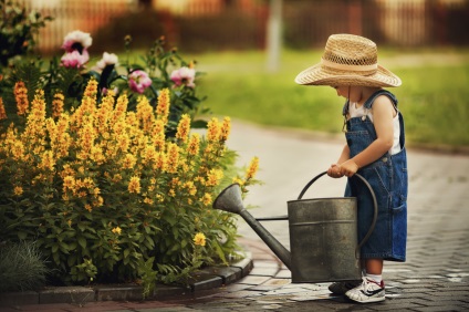 Cum să atragă un băiat să lucreze în zona suburbană - un nou erou