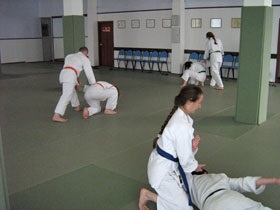 Cum funcționează Aikido Yoshinkan Training