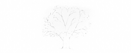 Cum de a desena copaci trage stejar, pin și salcie plângătoare în etape, o școală de artă numit Egidijus