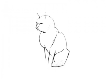 Cum să desenezi o pisică în etape cu un creion
