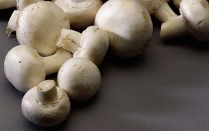 Cum să crești ciupercile în casă