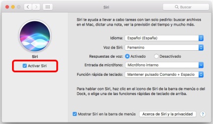 Cum să activați sau să dezactivați pe mac cu MacOS a văzut Siri, profesor falken