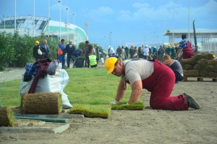 Când am lucrat la șantierul olimpic, bloggerul miron_, pe site-ul de pe 14 august 2016, o bârfă