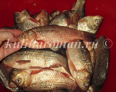 Carp, prăjit în făină de porumb, rețete delicioase