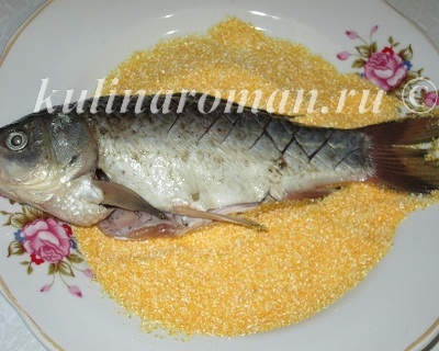 Carp, prăjit în făină de porumb, rețete delicioase