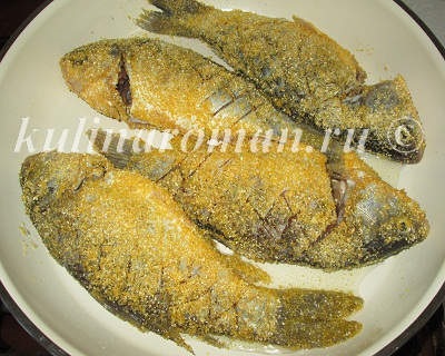 Carp, prăjit în făină de porumb, rețete delicioase